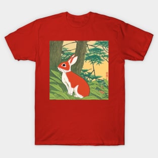The Soft and Silky Sweetheart Mini Rex Brown Rabbit Bunny T-Shirt